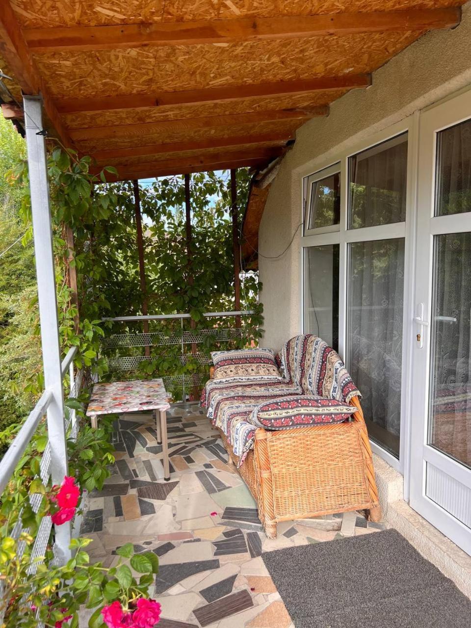 Podsolnukhi Guest House 乔尔蓬阿塔 外观 照片