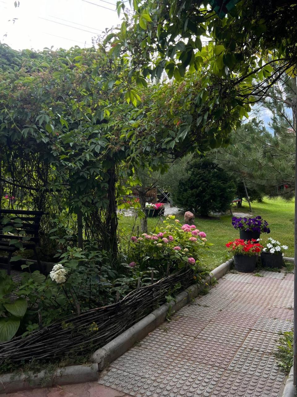 Podsolnukhi Guest House 乔尔蓬阿塔 外观 照片