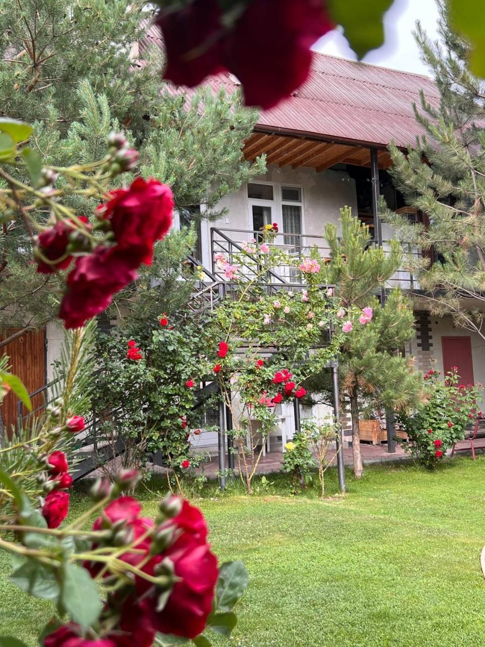 Podsolnukhi Guest House 乔尔蓬阿塔 外观 照片
